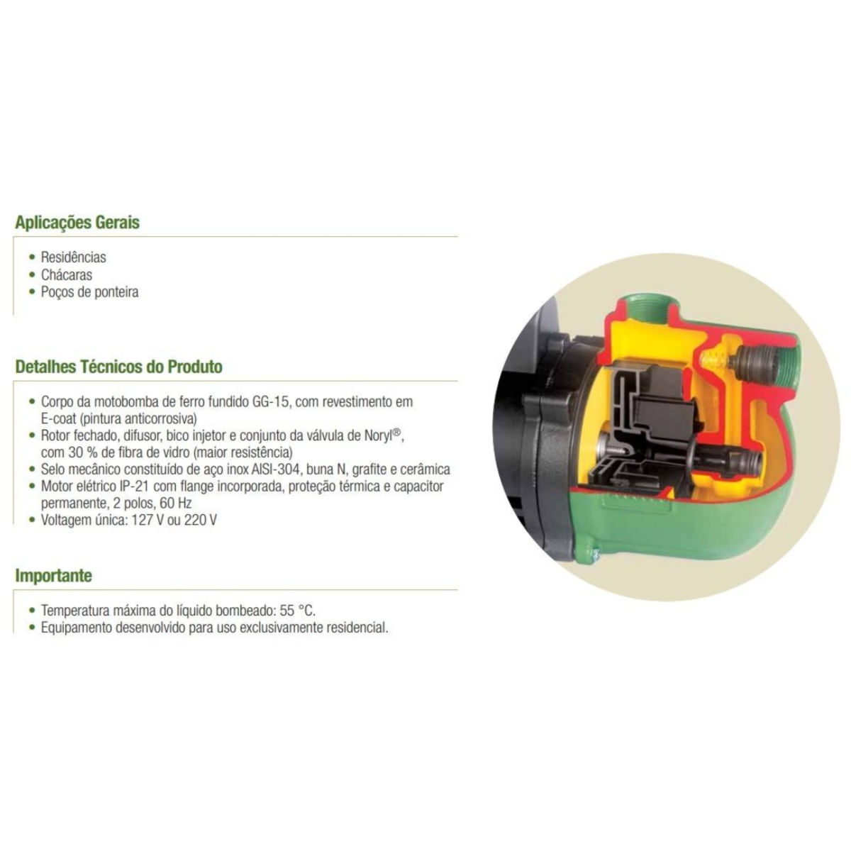 Encontraproduto.com.br - Motobomba Centrífuga Schneider Asp-98 1m 1cv 220 Volts