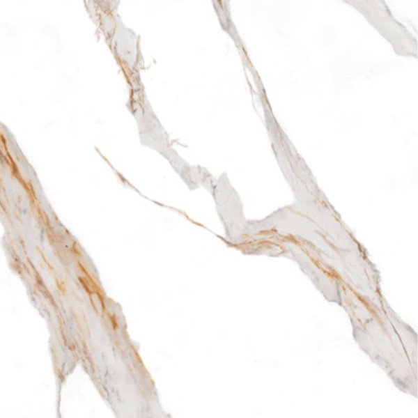 Encontraproduto.com.br - Piso 81x81 Calacata Bianco Polido Retificado Lbv3 Cx1.97m2 Formigres Prime