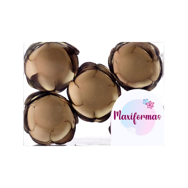 Forma July Pintura Especial Castanho 25 Unidades MAXIFORMAS