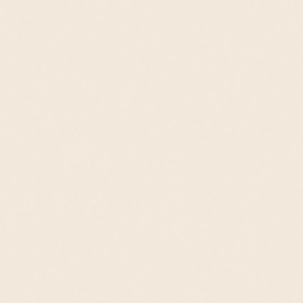 Piso Absolute Cream Brilho Rt60936 Esmaltado Retificado 60,0x60,0 - Embramaco