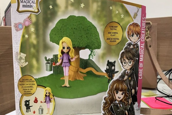Encontraproduto.com.br - HARRY POTTER WIZARDING WORLD SALA DE AULA CRIATURAS MAGICAS 2624 - SUNNY