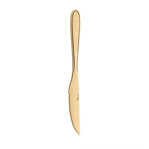 Encontraproduto.com.br - Conjunto 6 Facas para Mesa de Aço Inox Dourado Gastro 21,5cm - Lyor