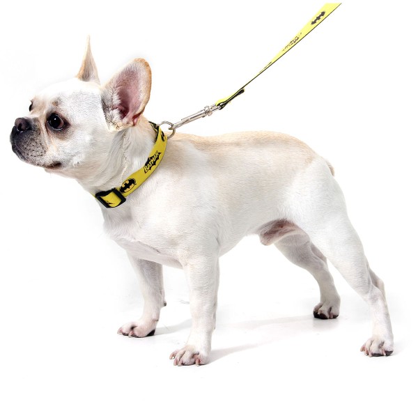 Encontraproduto.com.br - Coleira para Cachorros Batman