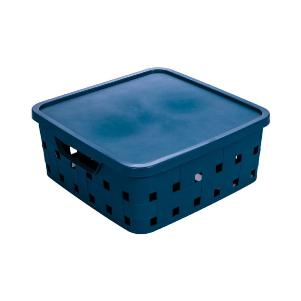 Encontraproduto.com.br - Caixa Organizadora Com Tampa 11L PLASUTIL