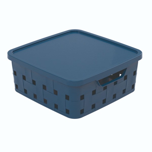 Encontraproduto.com.br - Caixa Organizadora Com Tampa 11L PLASUTIL
