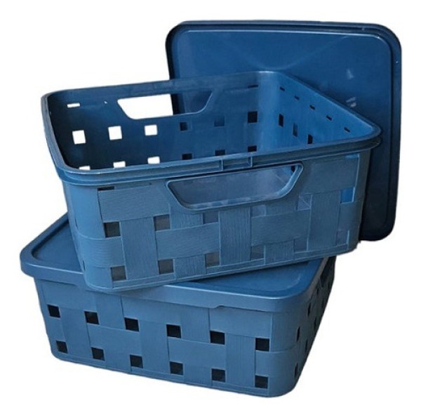 Encontraproduto.com.br - Caixa Organizadora Com Tampa 11L PLASUTIL