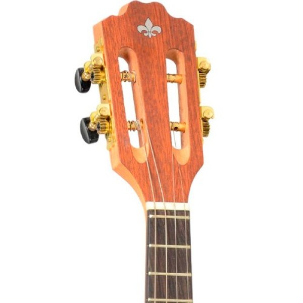 Encontraproduto.com.br - Cavaquinho Strinberg Eletroacústico Mahogany Santin - CS25E
