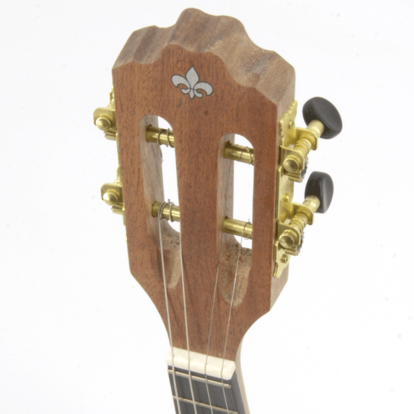 Encontraproduto.com.br - Cavaquinho Strinberg Eletroacústico Mahogany Santin - CS25E