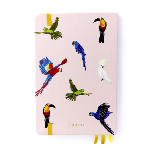 Encontraproduto.com.br - Caderneta Tri Pássaros Espécies Rosa 80 g/m² 14,0 x 21,0 cm com 192 Páginas Cicero