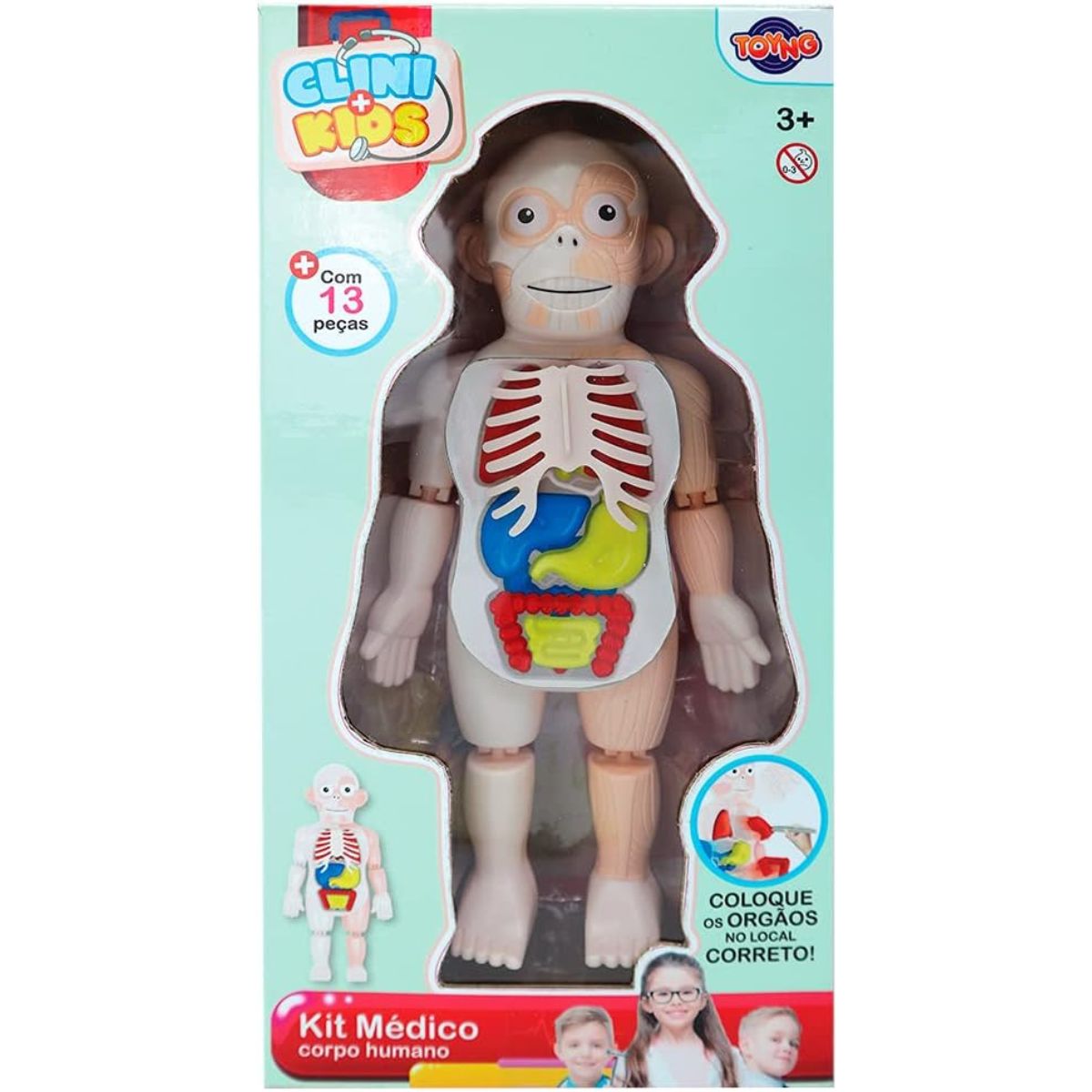 Encontraproduto.com.br - Brinquedo Conhecendo O Corpo Humano Encaixe E Aprenda Com 13 Peças Toyng