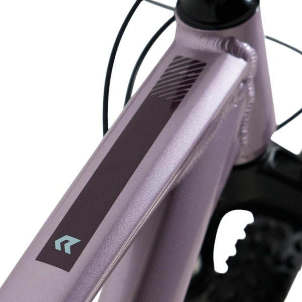 Encontraproduto.com.br - Bicicleta JPP Rava Rakan Aro 29 16 Velocidades Shimano Violeta (MP)