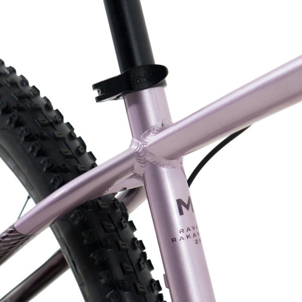 Encontraproduto.com.br - Bicicleta JPP Rava Rakan Aro 29 16 Velocidades Shimano Violeta (MP)
