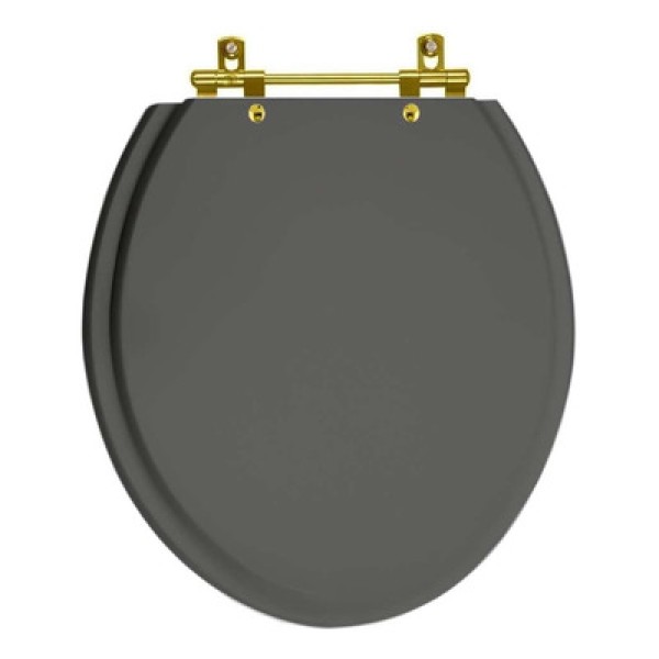 Encontraproduto.com.br - Assento Sanitário Convencional Oval Universal Cinza Escuro com Ferragem Dourada