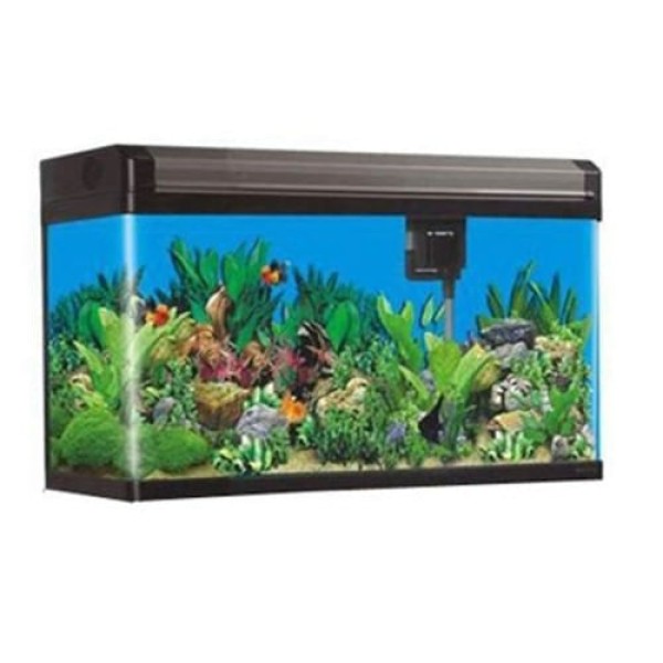 Aquario Curvo Boyu EA- 60E 68L Preto