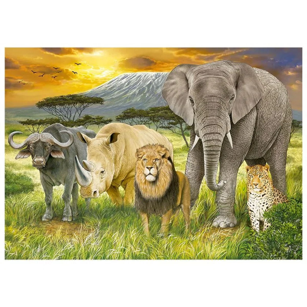 Encontraproduto.com.br - Quebra-cabeça 1000 peças The Big Five