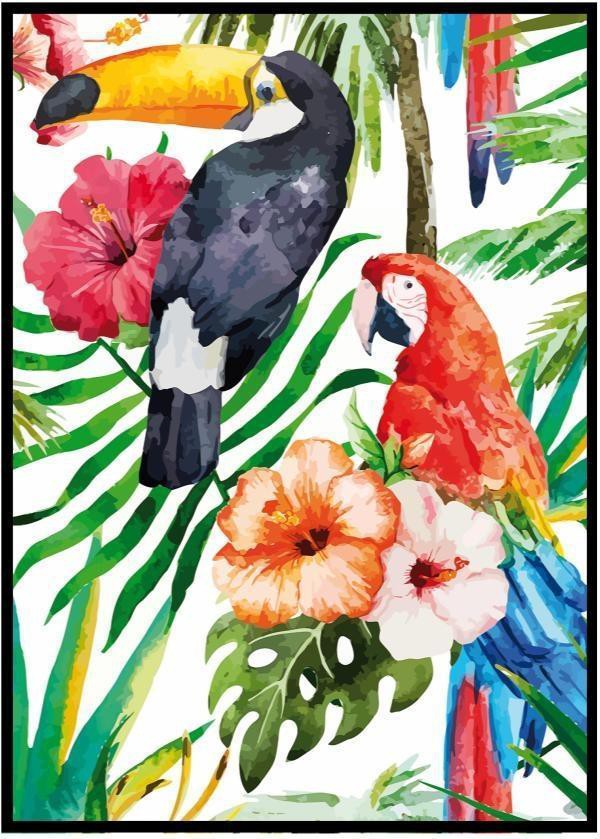 Quadro Decorativo E2g Design Barcelona Tucano Arara 50x70cm