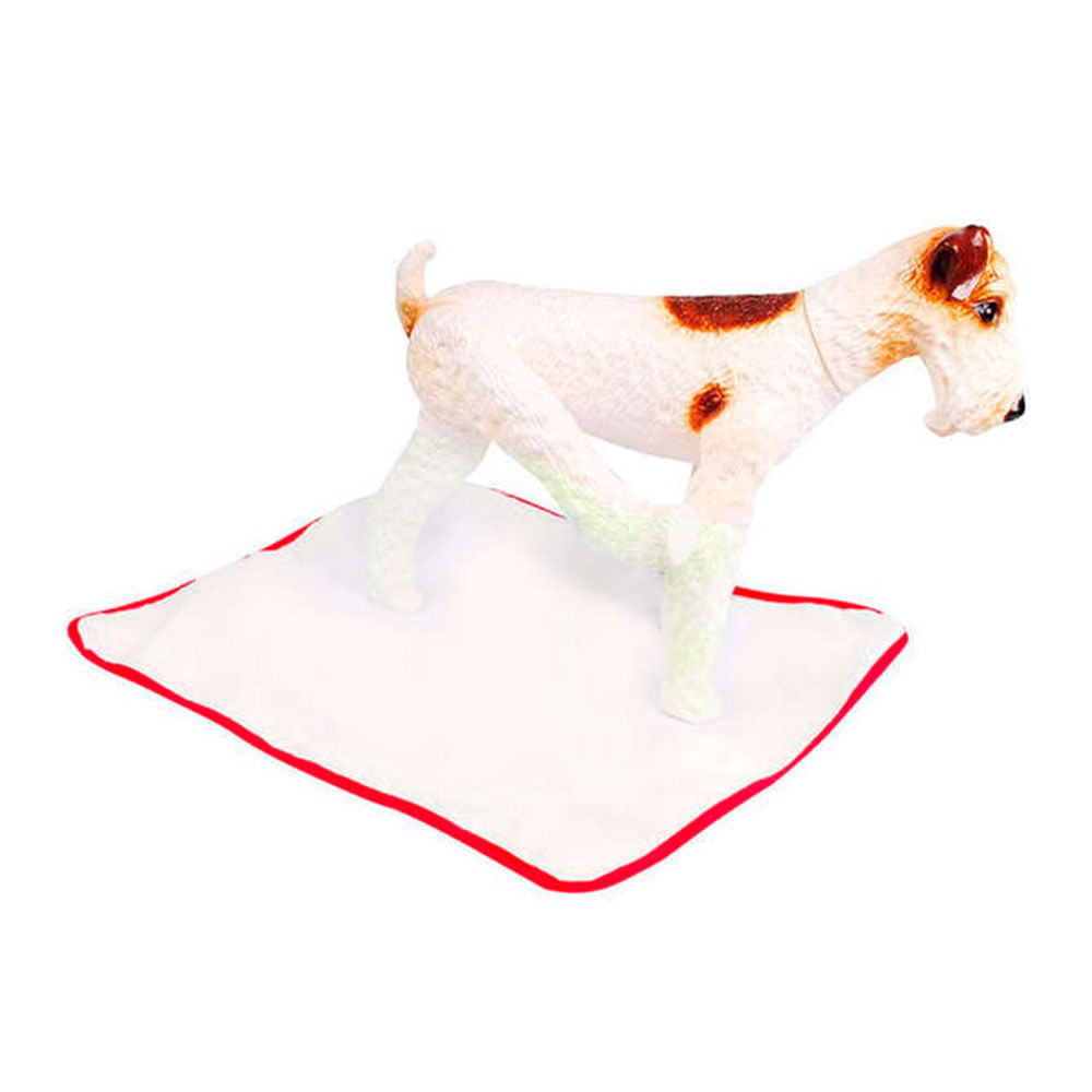 Encontraproduto.com.br - Tapete Higiênico Lavável Pet Wash São Benedito Pet Vermelho