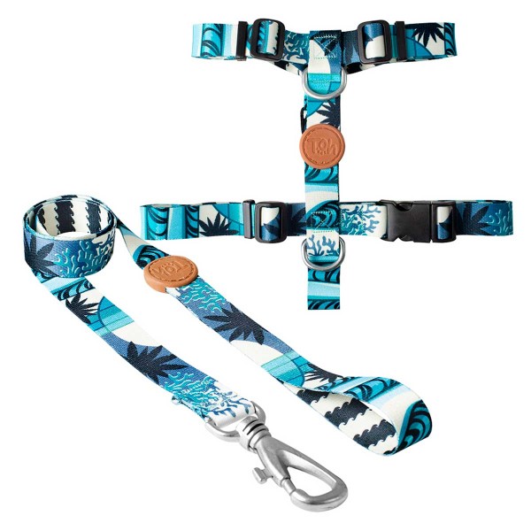 Encontraproduto.com.br - Conjunto Coleira Peitoral H e Guia para Cães Toh M Noronha