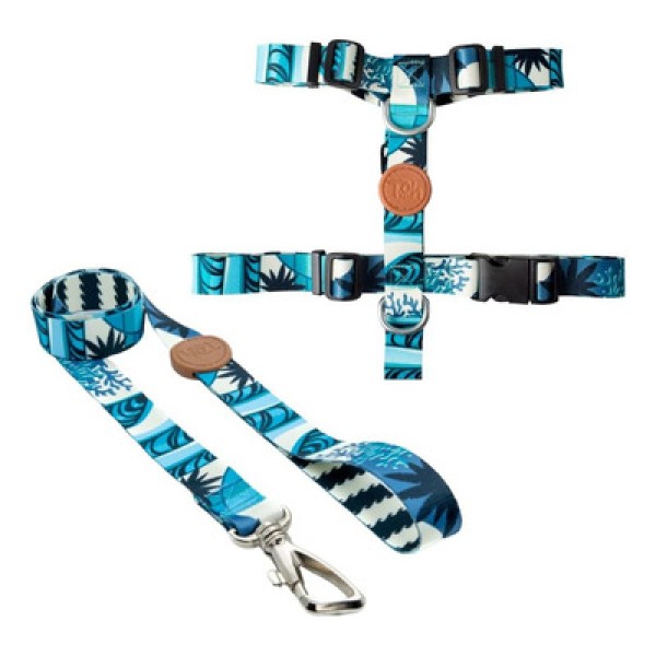 Encontraproduto.com.br - Conjunto Coleira Peitoral H e Guia para Cães Toh M Noronha