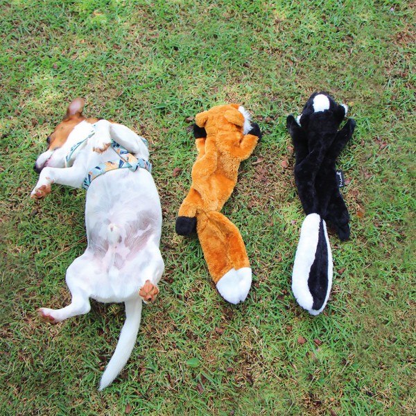 Encontraproduto.com.br - Brinquedo de Pelúcia para Cães - Gambá Ollie - PP174