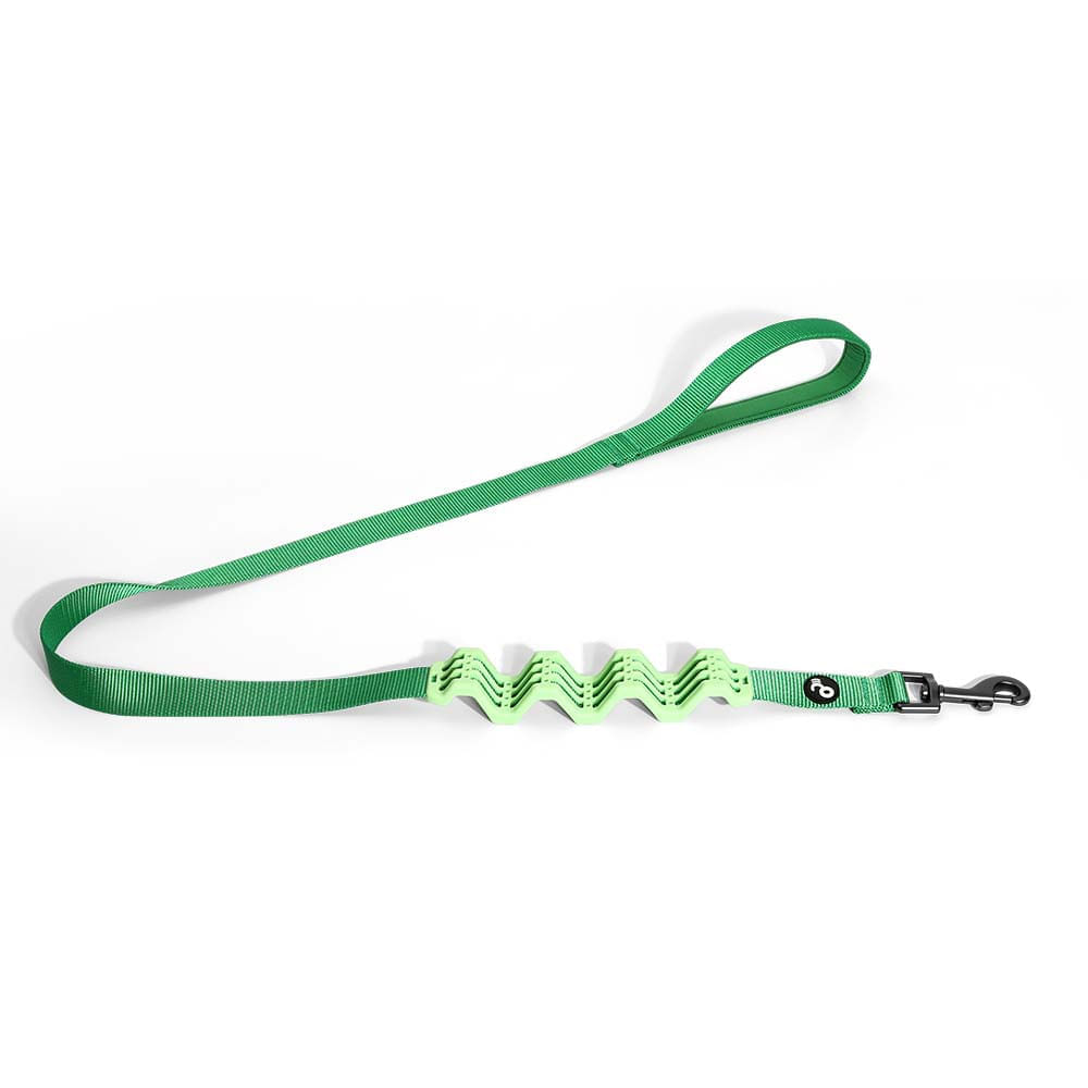 Encontraproduto.com.br - Guia Pet Com Amortecedor Verde 2.5x120 Para Cães