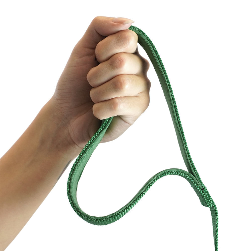 Encontraproduto.com.br - Guia Pet Com Amortecedor Verde 2.5x120 Para Cães