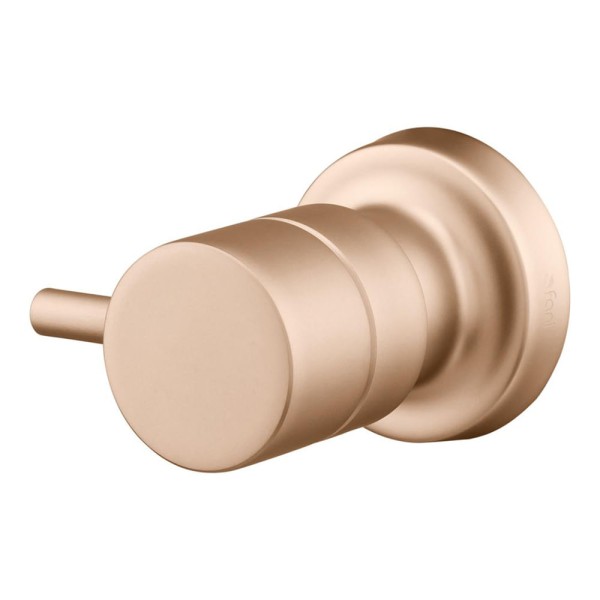 Encontraproduto.com.br - Acabamento para Registro Champanhe  Eva 509 3/4 CH90 Fani