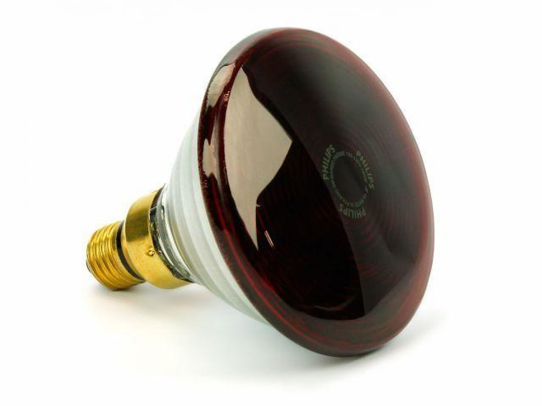 Lâmpada Infravermelho Infralight REDLAMP 150W 110V - unidade