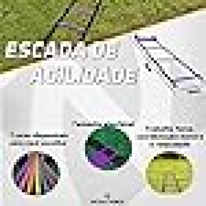 Encontraproduto.com.br - Kit Agilidade Escada Cones Futebol Mochila Treino Funcional Exercicio Resistencia - Roxo