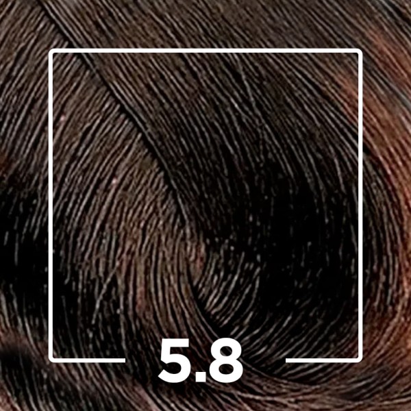 Encontraproduto.com.br - Tonalizante Dia Color 60ml 5.8 Castanho Claro Marrom - Loreal Profissional