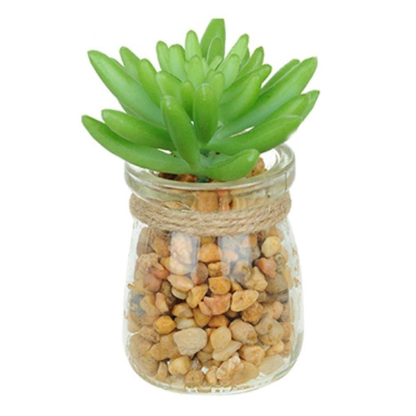 Vaso Com Suculenta Folha Média Verde Escuro 10X7 Cm - Du0027Rossi