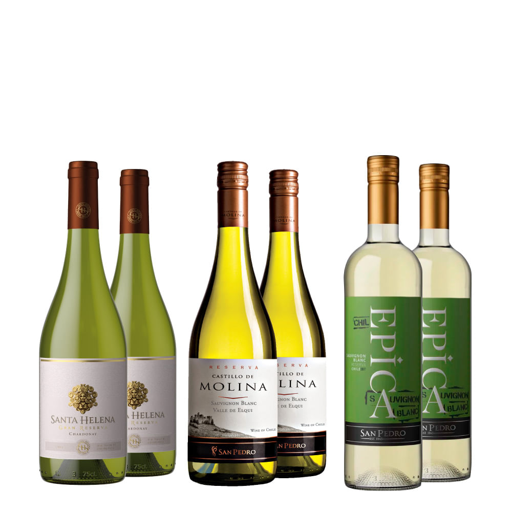 Kit VInhos Brancos Chilenos 06 Unidades
