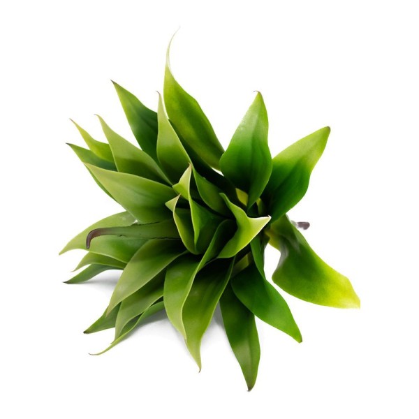 Encontraproduto.com.br - Folha Artificial Agave Com Raiz X24 Para Arranjos Verde 60 Cm F04 - Drossi