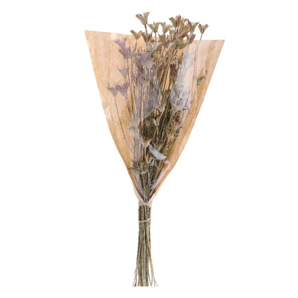 Buque Artificial Com Flores Secas BEG  80x30x3cm 1107477