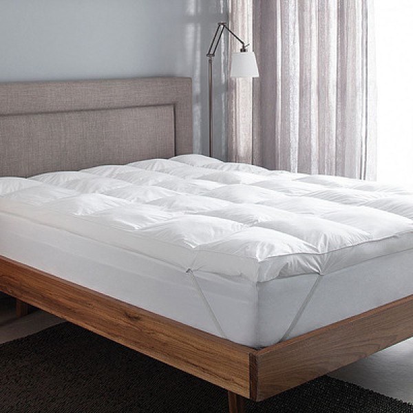 Pillow Top Queen Buddy Vision Fill - Buddemeyer