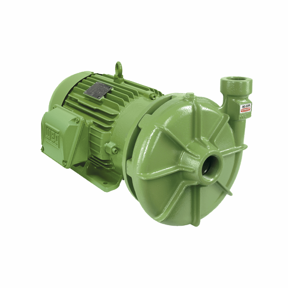 Bomba Schneider BC-22R 1B 5,0CV Trifásica