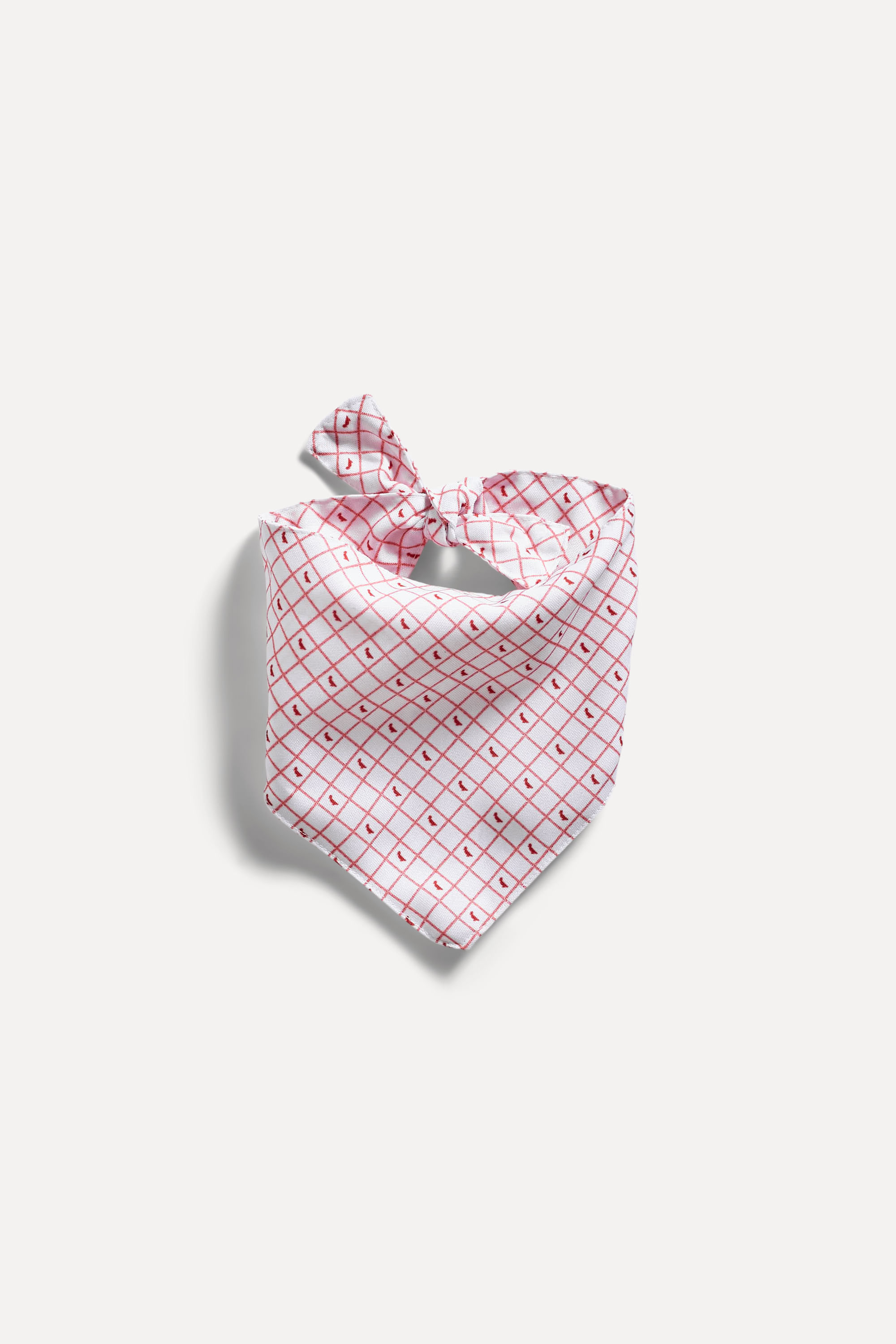 Bandana Dog Reserva