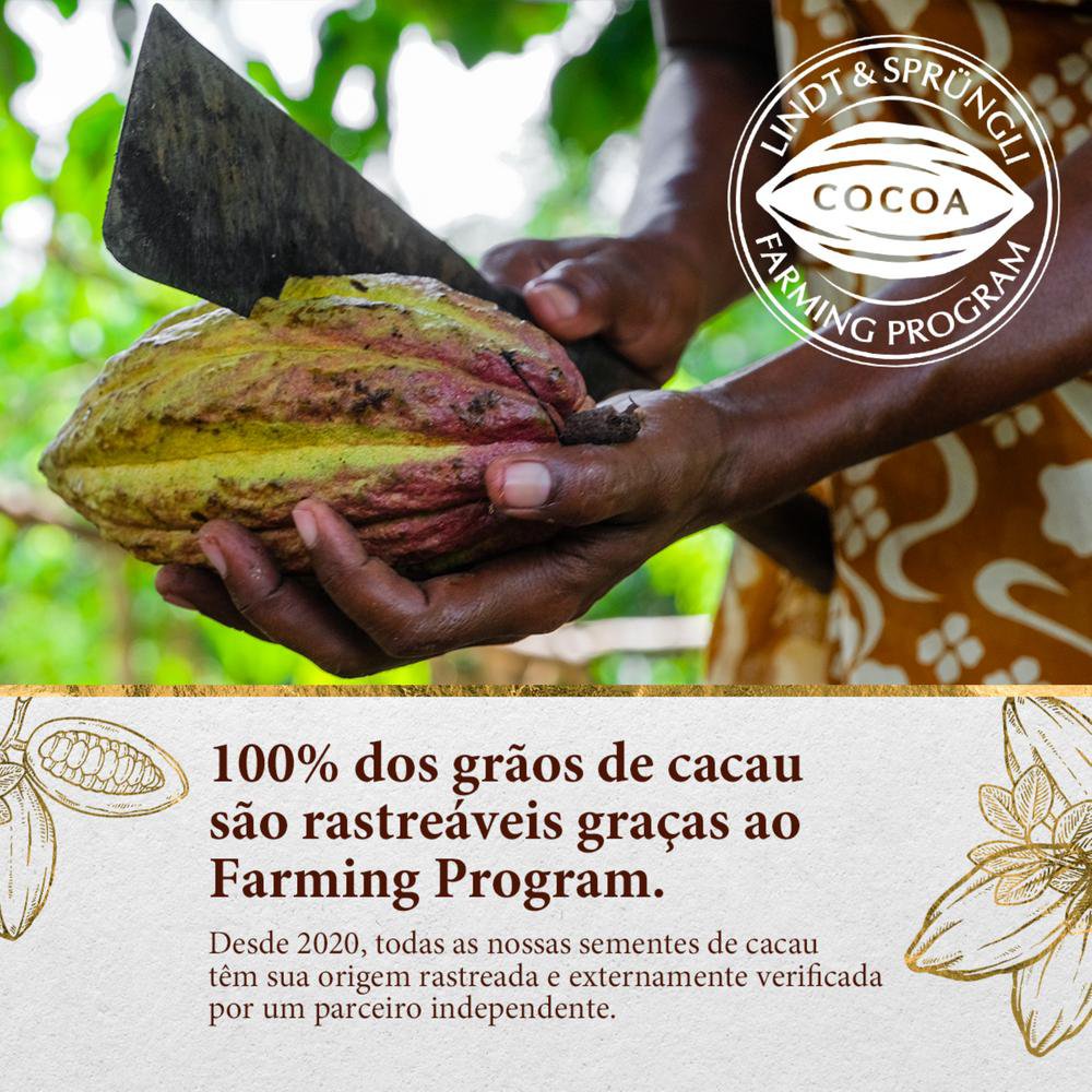 Encontraproduto.com.br - Trufas de Chocolate ao Leite Com Avelãs e Recheio Cremoso Lindt 200g