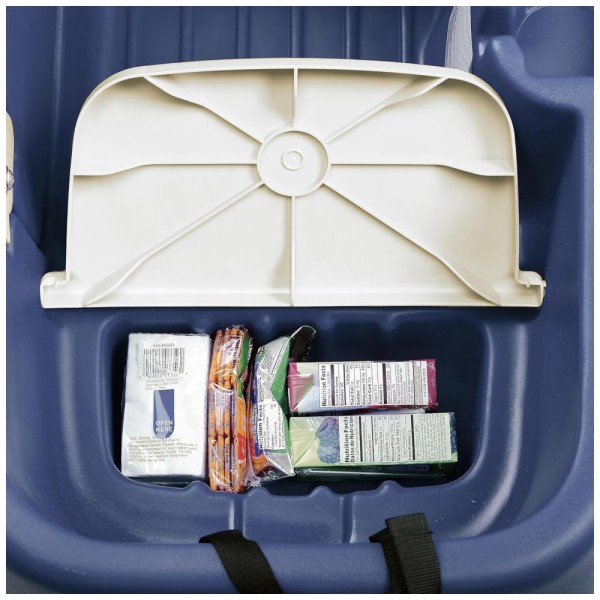 Encontraproduto.com.br - Carrinho de Passeio para 2 Crianças Multifuncional com Porta Objetos, até 90 kg, Step2, Azul