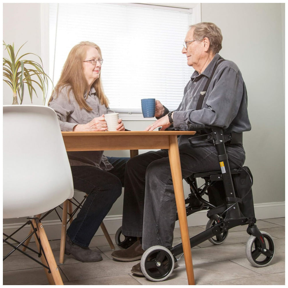 Encontraproduto.com.br - Andador para Idosos e Adultos com Assento, Encosto e Bolsa de Transporte, até 136 Quilos, HealthSmart, Roxo