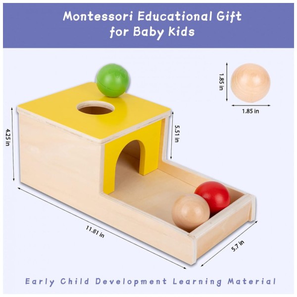 Encontraproduto.com.br - Brinquedo Montessori 4 em 1 com kit de Moedas, Jogo de Colheita de Cenoura e Palito de Fósforo, Jogo de Gota Colorido, Adena Montessori