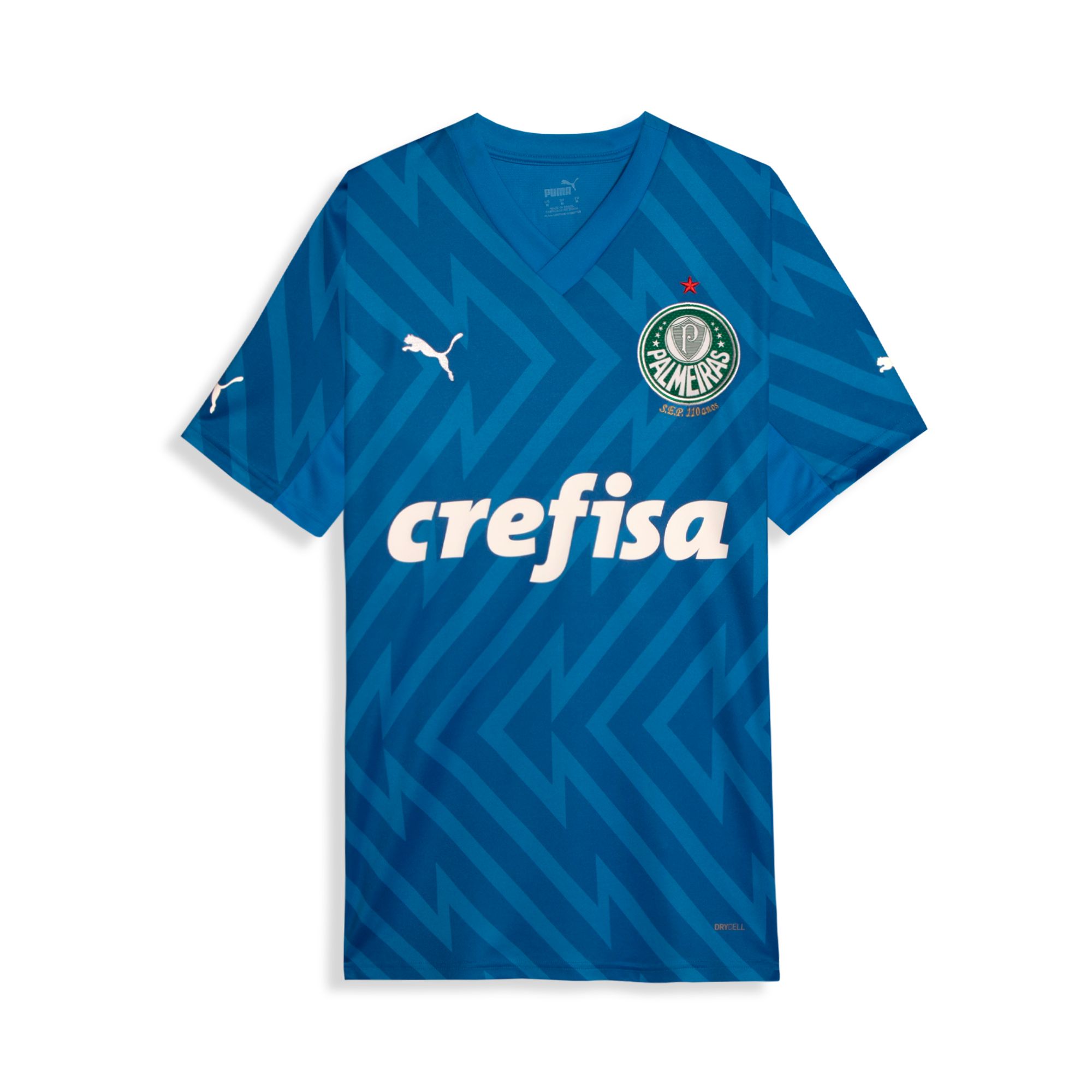 Camisa Palmeiras 2024 Puma Goleiro Torcedor Masculina - Azul