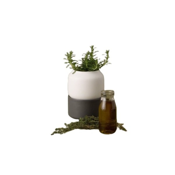 Vaso para Ervas Pequeno Com Sistema de Auto Regador Chefn