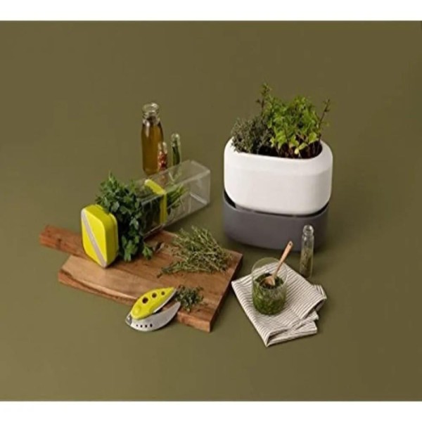 Encontraproduto.com.br - Vaso para Ervas Com Sistema de Auto Regador Grande Chefn