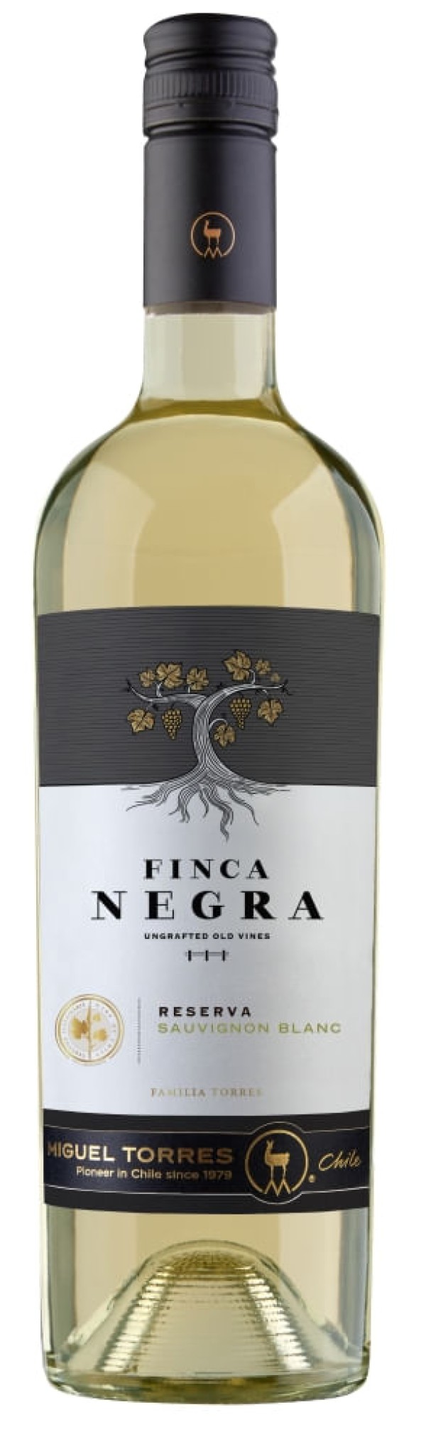 Encontraproduto.com.br - VINHO BRANCO CHILENO FINCA NEGRA SAUVIGNON BLANC RESERVA 750ML