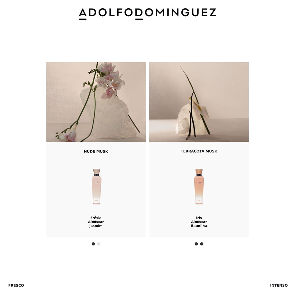 Encontraproduto.com.br - Terracota Musk Adolfo Dominguez - Perfume Feminino - Eau de Parfum