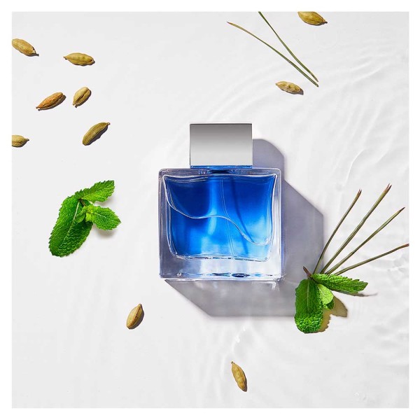 Encontraproduto.com.br - Blue Seduction For Men Banderas - Perfume Masculino - Eau de Toilette