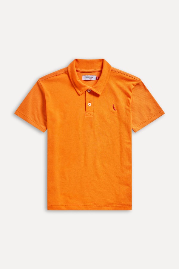 Encontraproduto.com.br - Polo Mini Piquet Multi Color