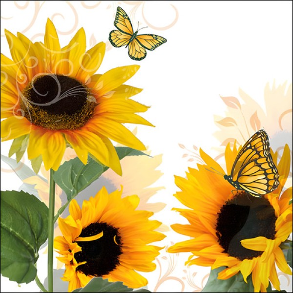 Encontraproduto.com.br - Guardanapo para Decoupage Ambiente com 20 Unidades Sunny Butterfly – 13310115