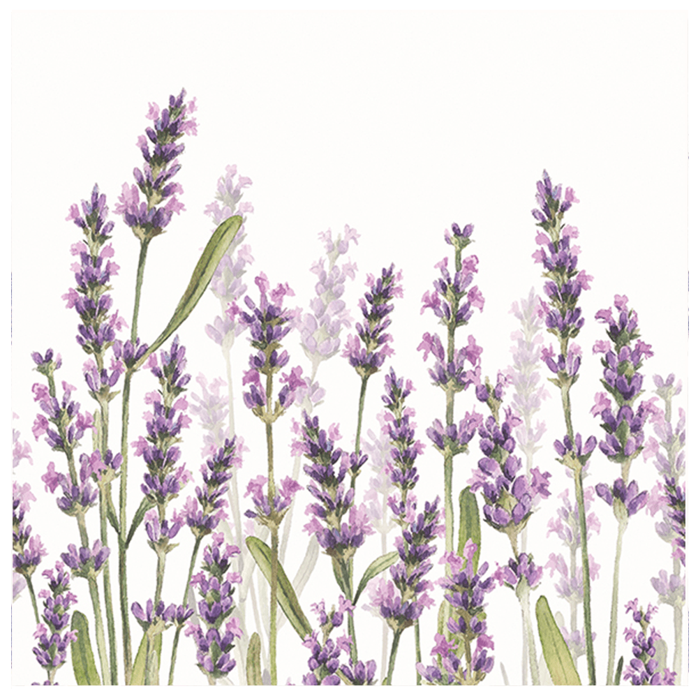 Encontraproduto.com.br - Guardanapo Para Decoupage Ambiente Com 20 Unidades Lavender Shade White – 13315985